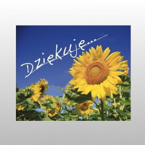 PEREŁKA 23 DZIĘKUJĘ...