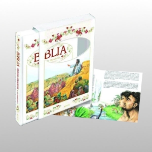 BIBLIA. HISTORIA ZBAWIENIA W OPOWIADANIACH- OKIENKO