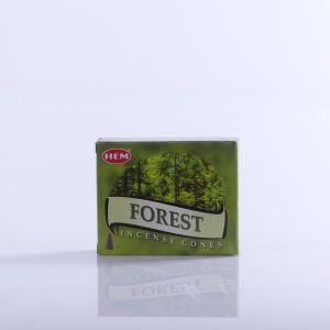 KADZIDŁO STOŻKOWE - LAS