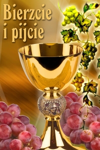 BANER KOMUNIJNY (k_43)