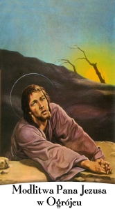 BANER TAJEMNICE RÓŻAŃCA: BOLESNE (tb_01)