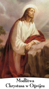 BANER TAJEMNICE RÓŻAŃCA: BOLESNE (tb_01a)