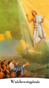 BANER TAJEMNICE RÓŻAŃCA: CHWALEBNE (tc_02)