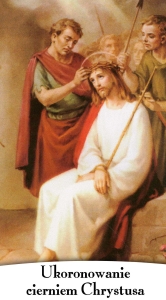 BANER TAJEMNICE RÓŻAŃCA: BOLESNE (tb_03a)