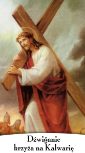 BANER TAJEMNICE RÓŻAŃCA: BOLESNE (tb_04a)