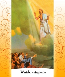 BANER TAJEMNICE RÓŻAŃCA: CHWALEBNE (tc_02a)