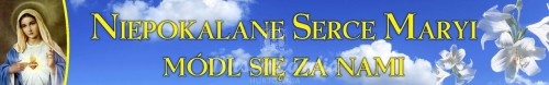 BANER TRANSPARENT - NIEPOKALANE SERCE MARYI (t_83)