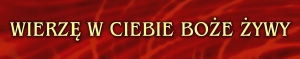 BANER TRANSPARENT - WIERZĘ W CIEBIE BOŻE ŻYWY (t_41c)