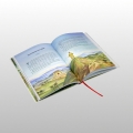 BIBLIA DLA DZIECI. HISTORIA ZBAWIENIA W OPOWIADANIACH