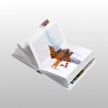 BIBLIA. ŚWIĘTA HISTORIA DLA NASZYCH DZIECI - BIAŁA OKŁ., MAŁY FORMAT