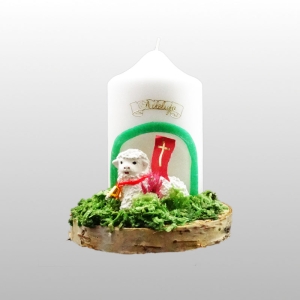 W ŚWIECA BARAN DUŻY- ŚWIATŁOWÓD     .