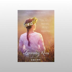 ZERWANY KŁOS DVD