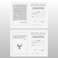 DYPLOM SZKOŁA ŚREDNIA 
