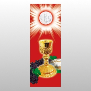 BANER DRUK NA MATERIALE 0,75 X 2,0 m - KOMUNIA 3