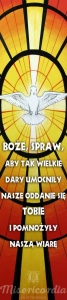BANER NA BIERZMOWANIE (br_08b)