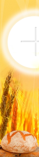 BANER KOMUNIJNY (k_11a)