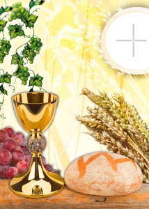 BANER KOMUNIJNY (k_48)