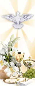 BANER KOMUNIJNY (k_46)
