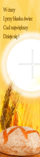 BANER KOMUNIJNY (k_11b)