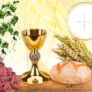 BANER KOMUNIJNY (k_48c)