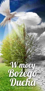 BANER Z HASŁEM: W MOCY BOŻEGO DUCHA (br_44)