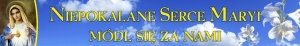 BANER TRANSPARENT - NIEPOKALANE SERCE MARYI (t_83)