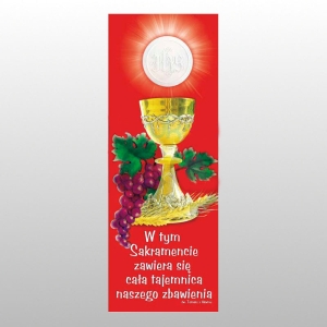 BANER DRUK NA MATERIALE 0,75 X 2,0 m - KOMUNIA 8