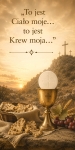 ! BANER NA BOŻE CIAŁO  (b_147) - NOWOŚĆ
