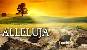 BANER NA WIELKANOC (zm_7)