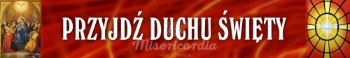 BANER TRANSPARENT - PRZYJDŹ DUCHU ŚWIĘTY (t_03a)