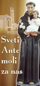 BANER TRANSPARENT - SVETI ANTEMOLI ZA NAS (t_63)