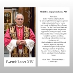 OBRAZKI DRUK - PAPIEŻ LEON XIV