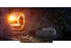 BANER NA WIELKANOC (zm_14)