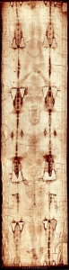 BANER TRANSPARENT - CAŁUN TURYŃSKI (t_67)