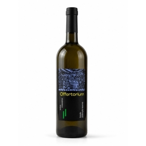 WINO MSZALNE: OFFERTORIUM 0,75L, BORON CHARDONNAY,DOC VENEZIA- B/PWYT 1L=47,90