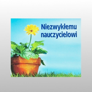 PEREŁKA 194 NIEZWYKŁEMU NAUCZYCIELOWI